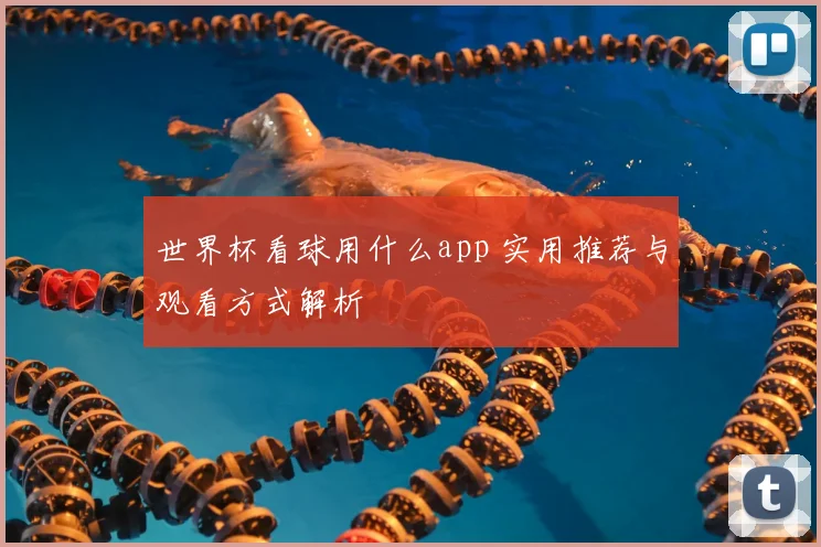 世界杯看球用什么app 实用推荐与观看方式解析