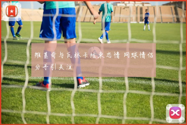 维基奇与瓦林卡结束恋情 网球情侣分手引关注