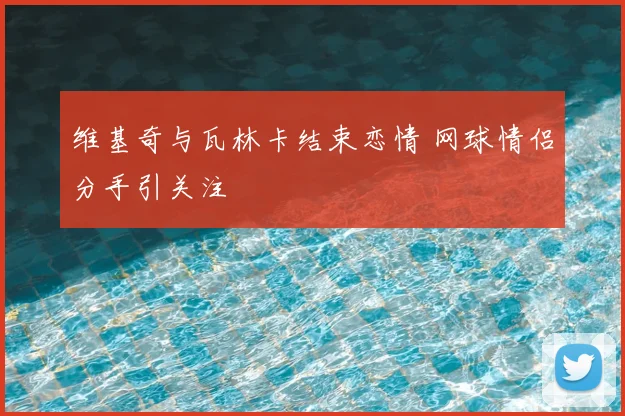 维基奇与瓦林卡结束恋情 网球情侣分手引关注