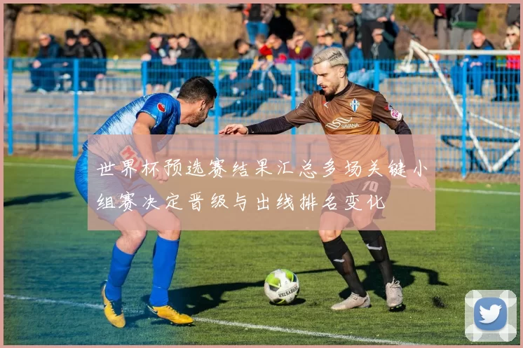 世界杯预选赛结果汇总多场关键小组赛决定晋级与出线排名变化
