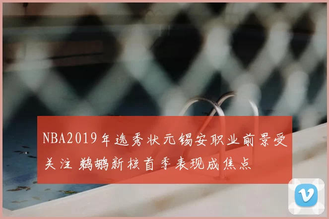 NBA2019年选秀状元锡安职业前景受关注 鹈鹕新核首季表现成焦点